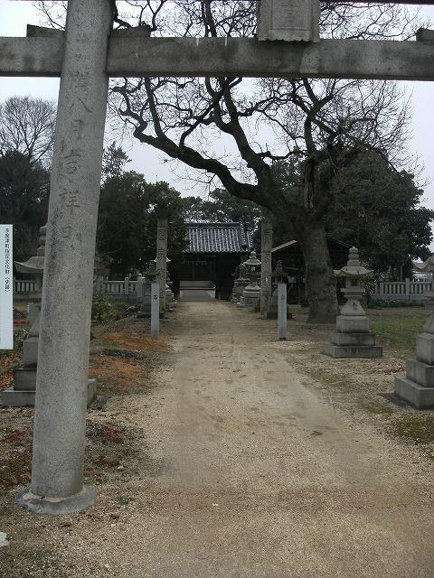 多度津町にある三井正八幡宮の鳥居から遠くに見える随神門越しの社殿の写真