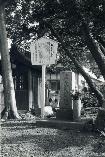 道隆寺境内にある木製の案内板の右側に建つ木々に覆われた多度津藩小物成奉行森長見の墓碑のモノクロ写真
