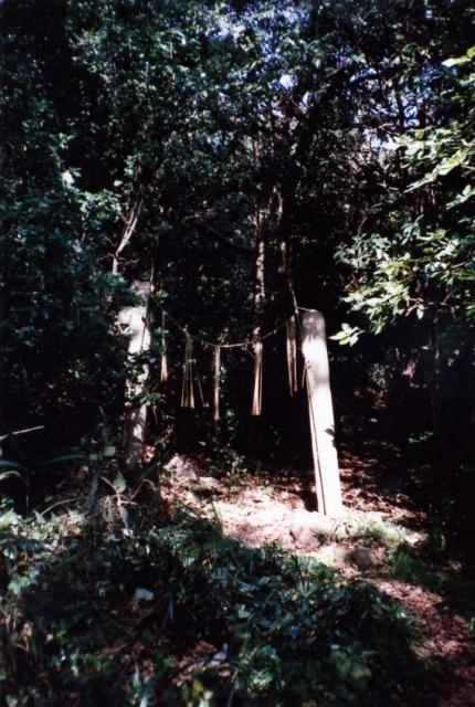 高見島龍王宮社叢にある木漏れ日に照らされている木と木の間に縄を垂らした鳥居のような門の写真