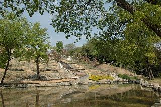 桜の森高原内にある池から撮影した階段沿いに植えられたサトザクラの写真
