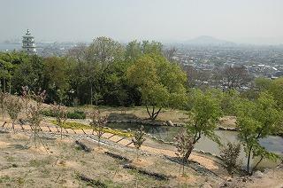 桜の森高原から望める多度津町の街並みを撮影した写真